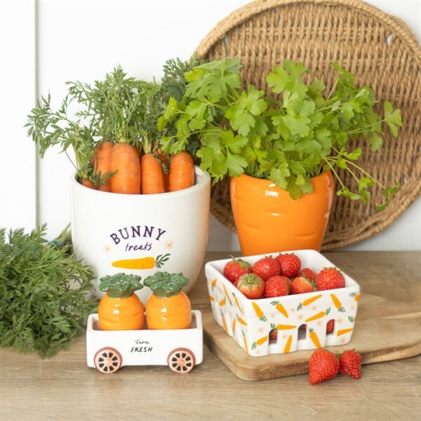 Carrot Salt and Pepper Shakers in Wagon - Image 6